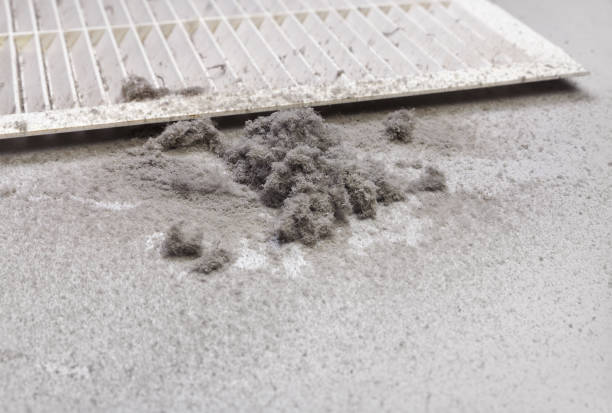Best Ventilation Cleaning Services  in Lapel, IN