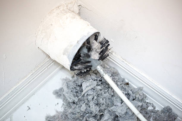 Best Professional Duct Cleaning Services  in Lapel, IN